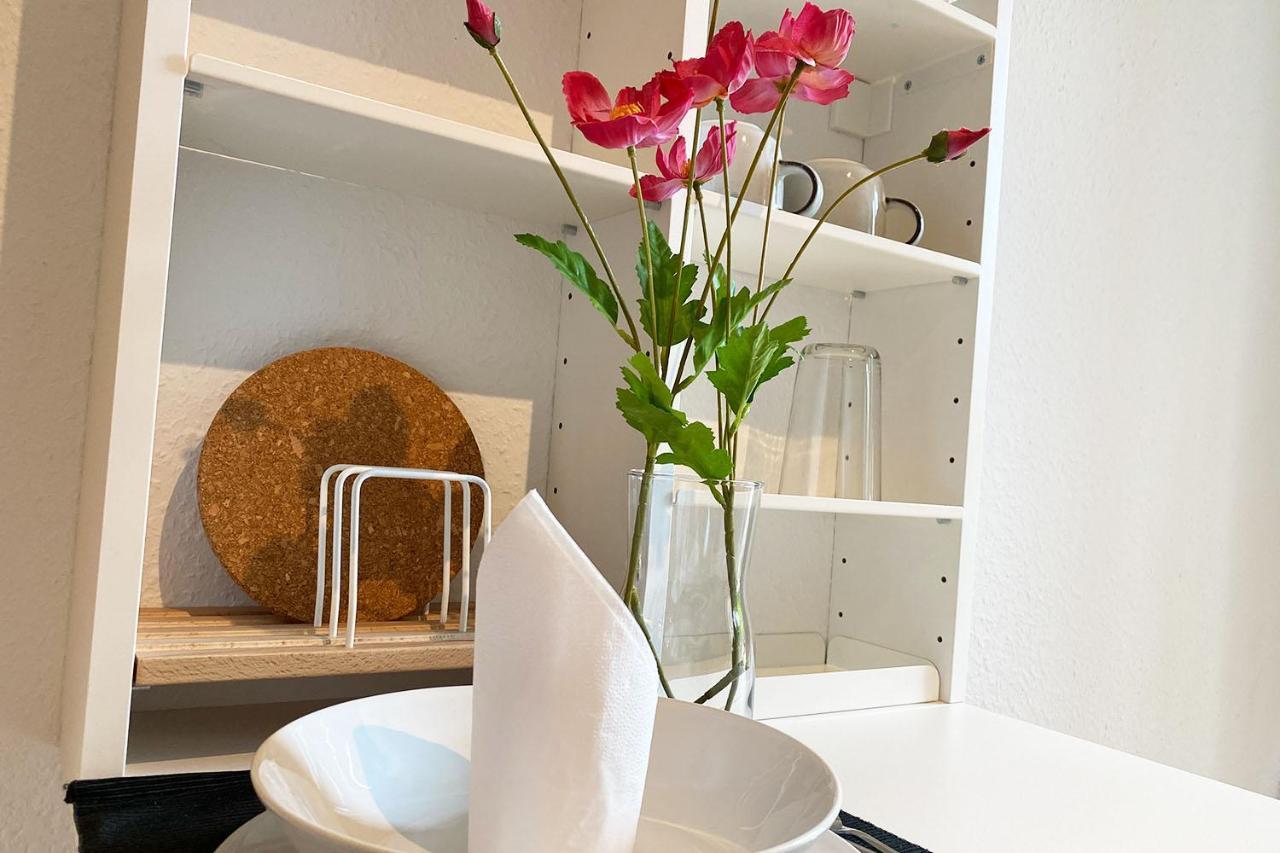 Business & Tourist Apartment With Balcony Osnabrück Buitenkant foto